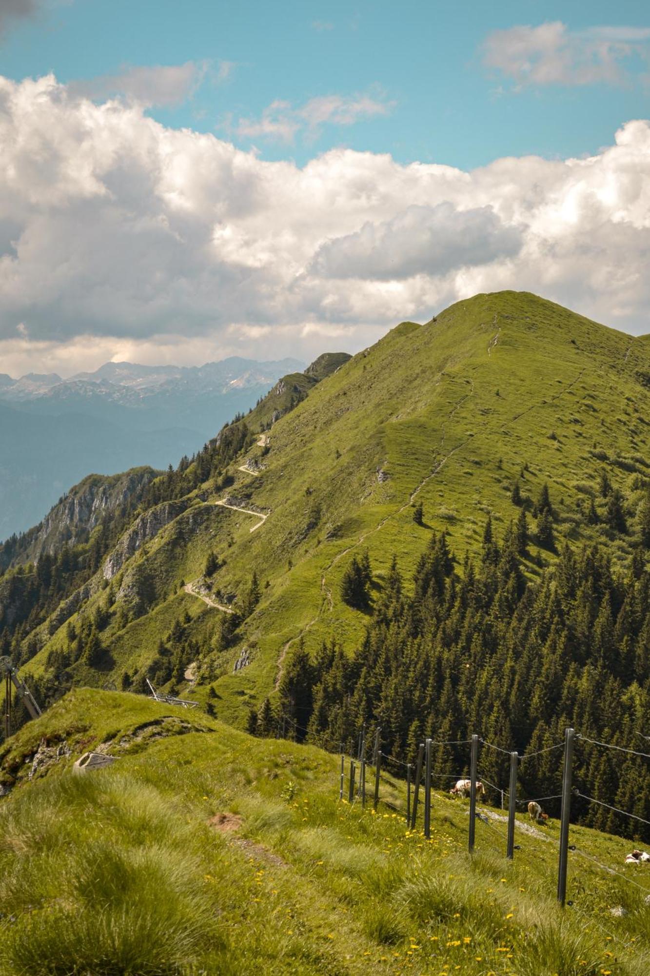 Guesthouse Lajnar Zgornja Sorica Zewnętrze zdjęcie